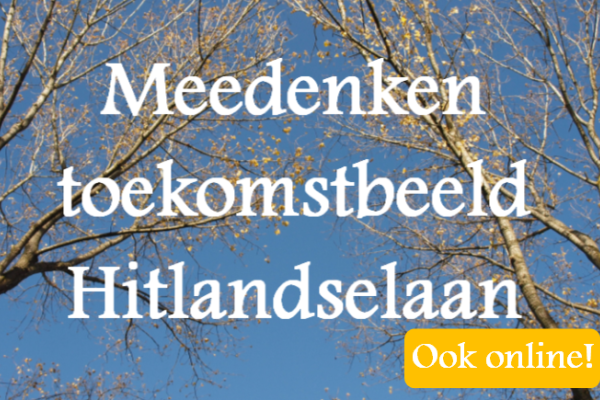 Meedenken over Hitlandselaan kan ook online