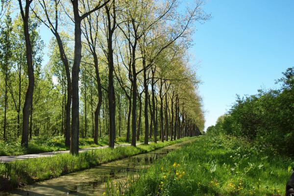 Dagelijks Bestuur presenteert beoogd toekomstbeeld Hitlandselaan