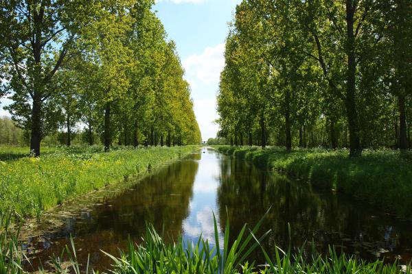 Toekomstvisie Park Hitland krijgt vorm