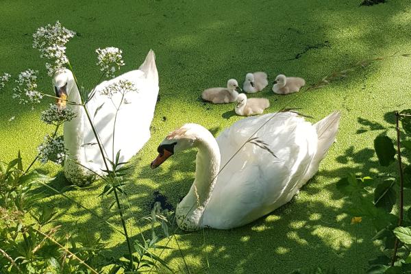 Park Hitland: Recreatiegebied en leefgebied